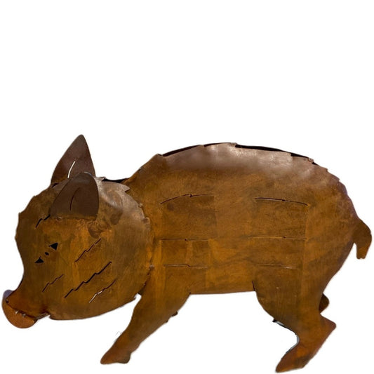 Boar